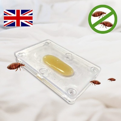 영국해충방제 침대 가구 반려동물 여행가방 가방 숙박업소 빈대 끈끈이 트랩